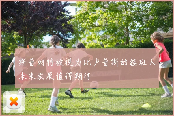 斯普利特被视为比卢普斯的接班人未来发展值得期待